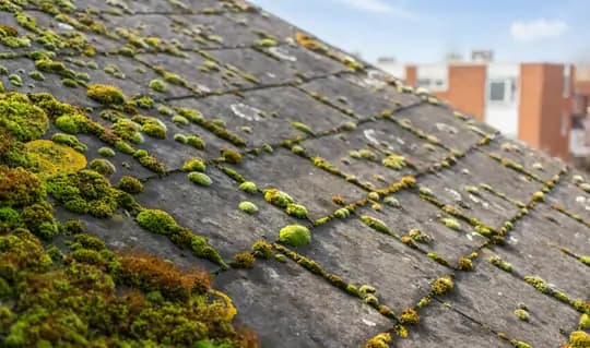 10 signalen dat je dak dringend aan renovatie toe is + checklist 2026